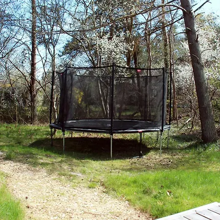 Architect-designed House Surrounded By Nature Vig